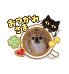 武居familiar2（個別スタンプ：32）