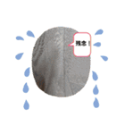 武居familiar2（個別スタンプ：34）