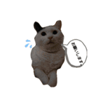 武居familiar2（個別スタンプ：38）