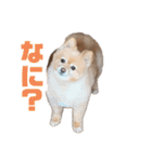 わたし、ななこです（個別スタンプ：6）