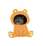 ちくわ ①（個別スタンプ：1）