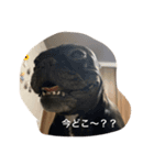 ちくわ ①（個別スタンプ：7）