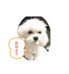 じんちゃんStyle（個別スタンプ：1）
