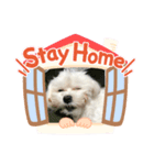 じんちゃんStyle（個別スタンプ：2）