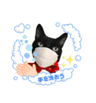黒猫マギの感染対策（個別スタンプ：1）