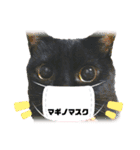 黒猫マギの感染対策（個別スタンプ：2）