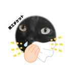 黒猫マギの感染対策（個別スタンプ：4）