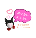 黒猫マギの感染対策（個別スタンプ：11）
