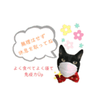 黒猫マギの感染対策（個別スタンプ：12）