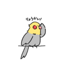 日常で使えるとりちゃんず（個別スタンプ：7）