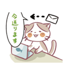 リモートワーク・在宅ワーク猫ちゃん（個別スタンプ：3）