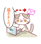 リモートワーク・在宅ワーク猫ちゃん（個別スタンプ：4）