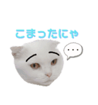 まろスタンプねこ2（個別スタンプ：14）