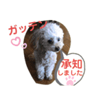 ピッコロトイプーの使える言葉2020（個別スタンプ：9）