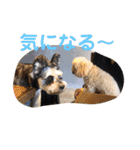 ピッコロトイプーの使える言葉2020（個別スタンプ：18）