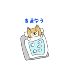 産婦人科医のための柴犬Dogtorスタンプ（個別スタンプ：3）