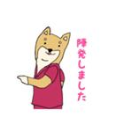 産婦人科医のための柴犬Dogtorスタンプ（個別スタンプ：5）