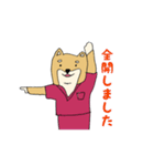 産婦人科医のための柴犬Dogtorスタンプ（個別スタンプ：6）