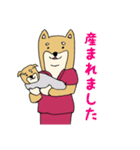 産婦人科医のための柴犬Dogtorスタンプ（個別スタンプ：7）