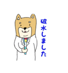 産婦人科医のための柴犬Dogtorスタンプ（個別スタンプ：8）