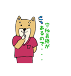 産婦人科医のための柴犬Dogtorスタンプ（個別スタンプ：13）
