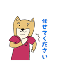 産婦人科医のための柴犬Dogtorスタンプ（個別スタンプ：15）