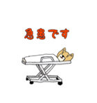産婦人科医のための柴犬Dogtorスタンプ（個別スタンプ：21）