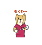 産婦人科医のための柴犬Dogtorスタンプ（個別スタンプ：23）