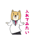 産婦人科医のための柴犬Dogtorスタンプ（個別スタンプ：27）