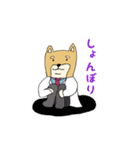 産婦人科医のための柴犬Dogtorスタンプ（個別スタンプ：30）