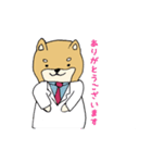 産婦人科医のための柴犬Dogtorスタンプ（個別スタンプ：31）