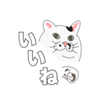 トットちゃん（猫）のスタンプ（個別スタンプ：1）