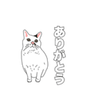 トットちゃん（猫）のスタンプ（個別スタンプ：2）