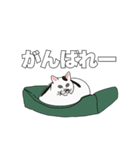 トットちゃん（猫）のスタンプ（個別スタンプ：3）