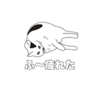トットちゃん（猫）のスタンプ（個別スタンプ：5）