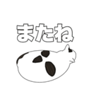 トットちゃん（猫）のスタンプ（個別スタンプ：6）