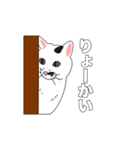 トットちゃん（猫）のスタンプ（個別スタンプ：8）