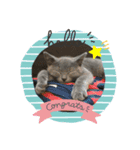 はやとだりる（個別スタンプ：3）