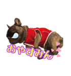 FB ぷっちょ（個別スタンプ：2）