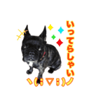 FB ぷっちょ（個別スタンプ：4）