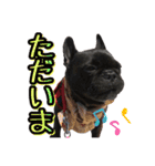 FB ぷっちょ（個別スタンプ：5）