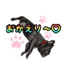 FB ぷっちょ（個別スタンプ：6）