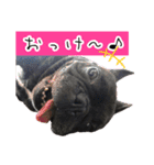 FB ぷっちょ（個別スタンプ：7）