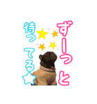 FB ぷっちょ（個別スタンプ：8）