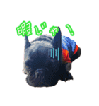 FB ぷっちょ（個別スタンプ：9）