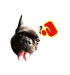 FB ぷっちょ（個別スタンプ：14）
