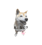 かん太くんの日常（個別スタンプ：6）