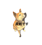 かん太くんの日常（個別スタンプ：7）