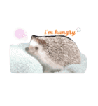 かわいいおTang Tang（個別スタンプ：2）