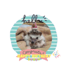 かわいいおTang Tang（個別スタンプ：3）